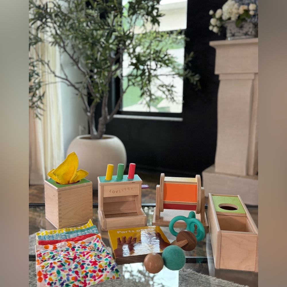 Colorful Wooden Toy Storage Set